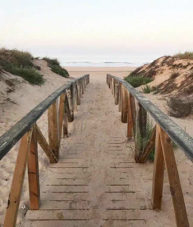 Ein Weg aus Holzplanken führt durch die Dünen zum Strand. Am Ende des Wegs ist das weite Meer zu sehen.